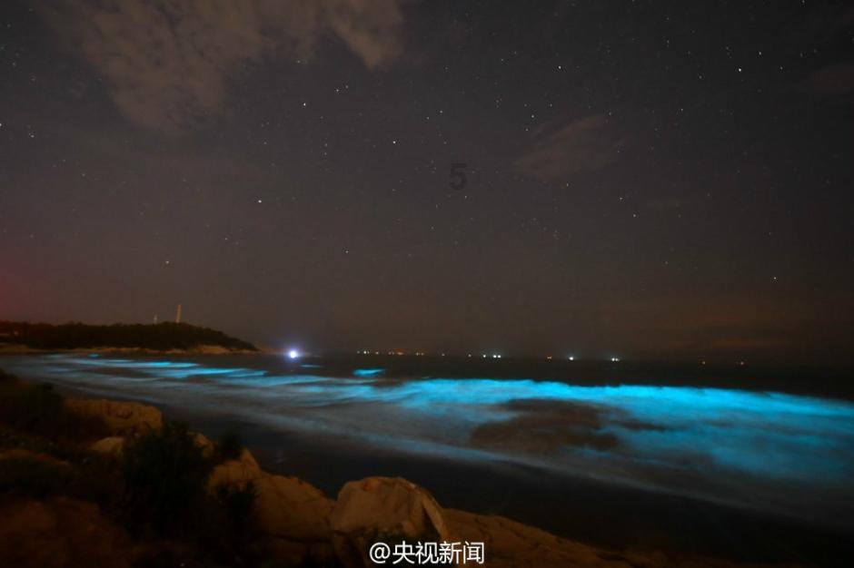 探寻怎么去闭口最有效?-尽享知识星球平台的独特魅力