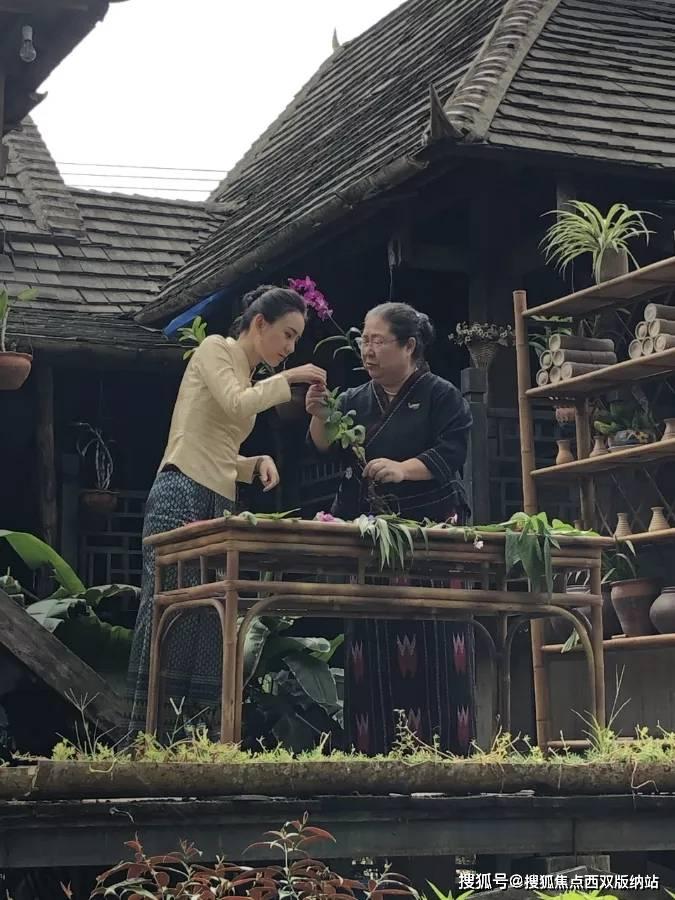 探索吉鹿力——华为p40性价比如何?问答社区